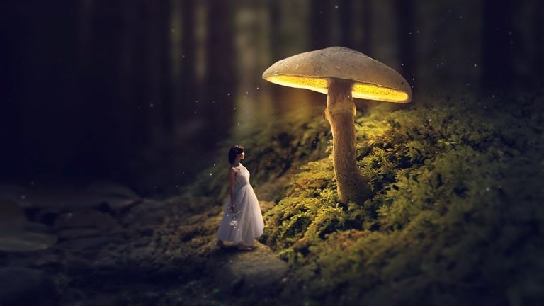 Glowing Mushroom – Photoshop Fantasy Manipulation Tutorial